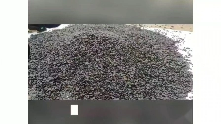 Piedra pulida de guijarros decorativos mezclados naturales de la playa para ajardinar